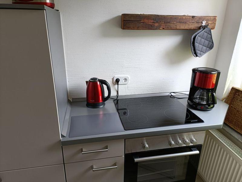 Apartment Luisa Ерфурт Екстериор снимка